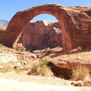 Meet your Posher, Bobbi